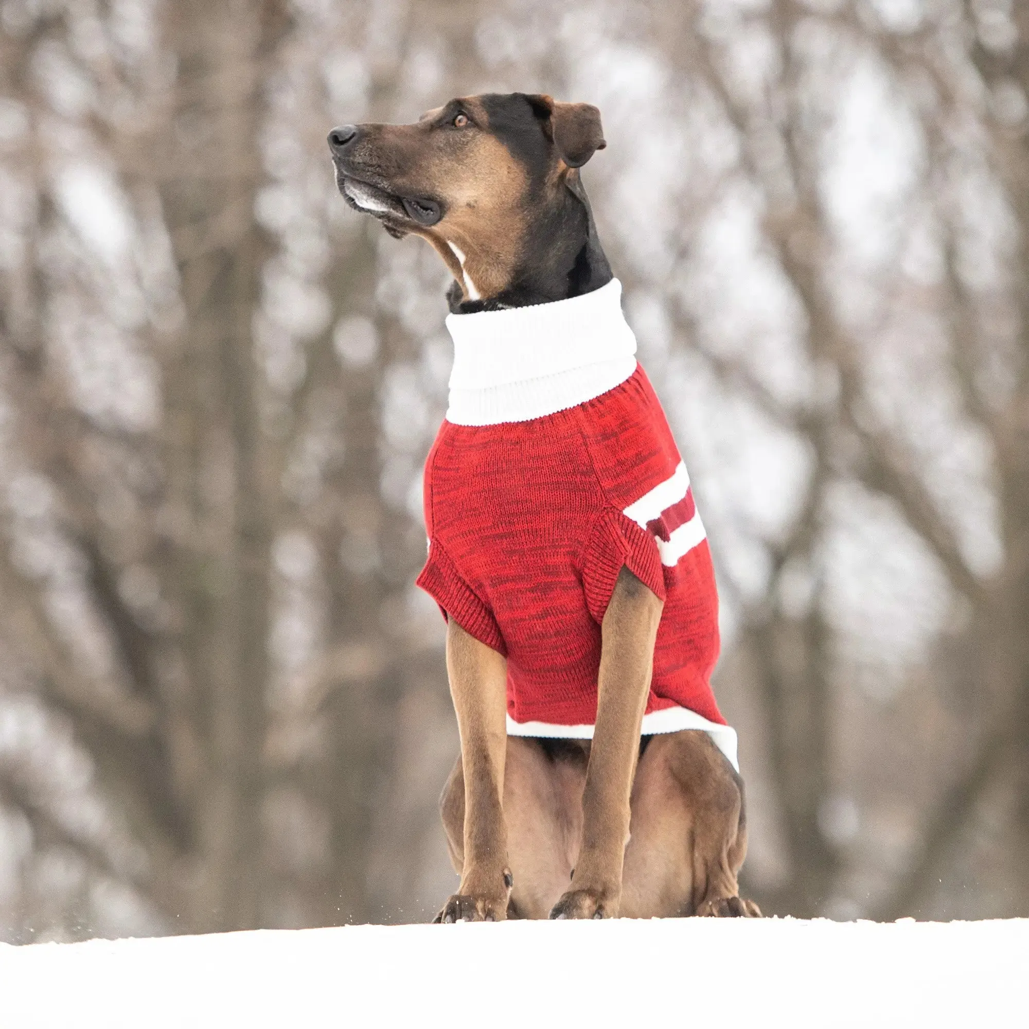 Trekking Sweater